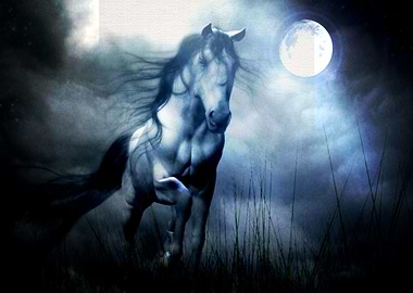 Horse Animals HD Wall