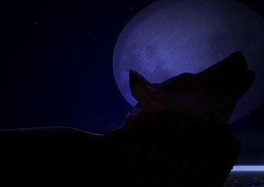 Animal Wolf Moon Twilight