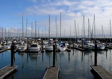 Fishermans Wharf Sanfo