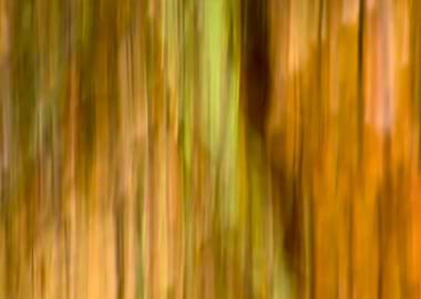 Autumn colored background