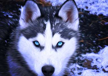 Husky Dogs Oil Painting P