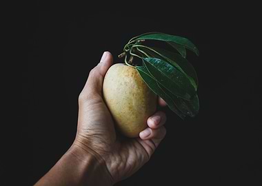 Fresh sapodilla fruits