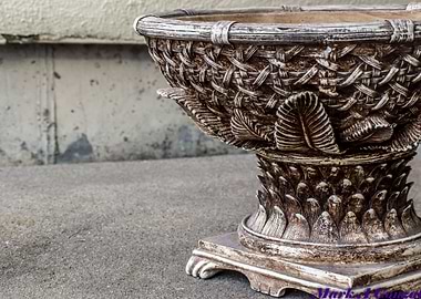 Bird Bowl Against A Wall