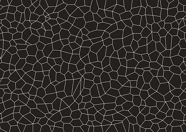 Black and White Mosaic