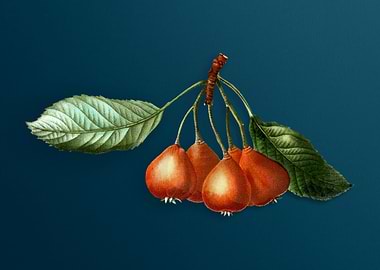 Vintage Flowers on Teal