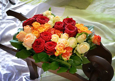 Man Made Flower Rose Still