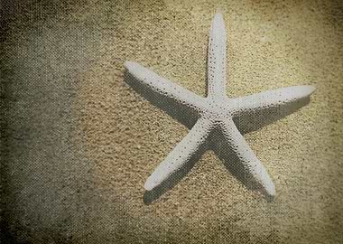 Vintage Hawaii Beach 04