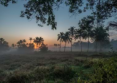 Looking Towards Colva
