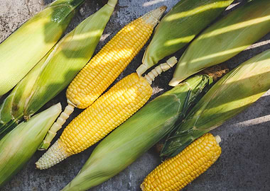 Fresh corns