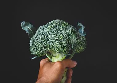 Fresh broccoli