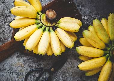 Fresh bananas