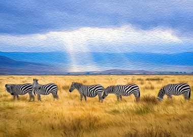 Zebras Wandering Savanna