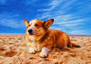Dog on a Beach