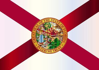 Florida State Metal Flag