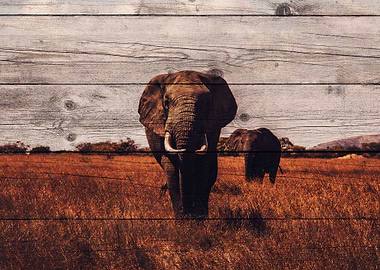 Elephant Art