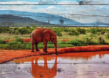 Elephant Art