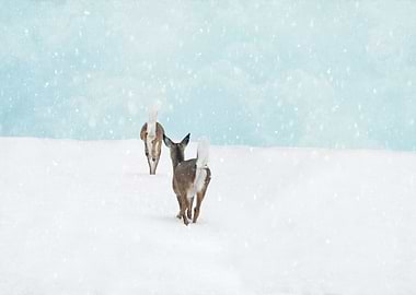 Deer in Snow on Blue