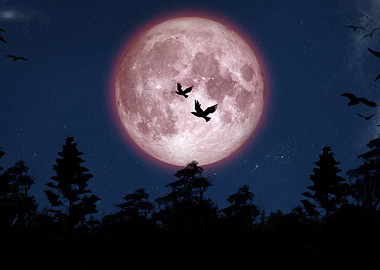 Red moon with birds