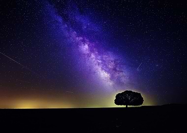Tree with milky way