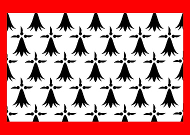 Limousin flag