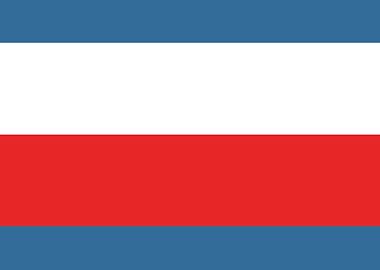 Trenciansky flag