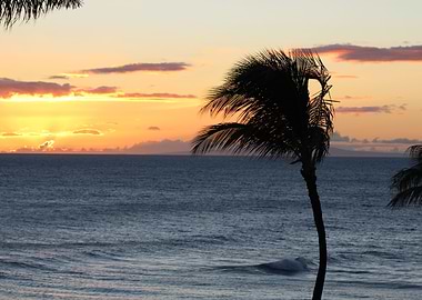 Hawaiian Sunset