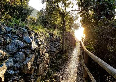 Italian Mountainside