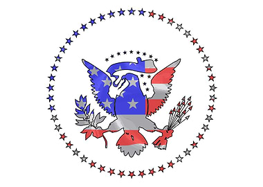 Stars And Stripes Eagle