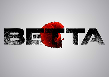 Betta Fish Urban Print