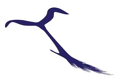 Whales Tail Abstract