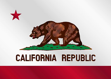 State of California Flag