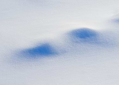 Winter Snow And Snowdrifts