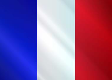 French Grunge Flag Gloss