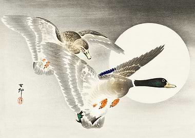 Mallard ducks and moon art