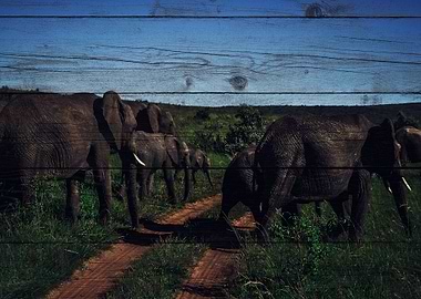 Elephant Art