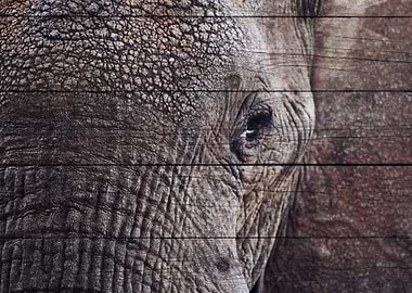 Elephant Art