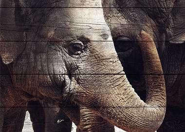 Elephant Art