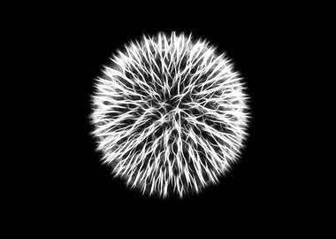 Bacteria Photography