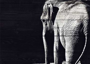 Elephant Art