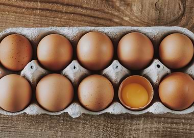 Tray of raw chicken eggs