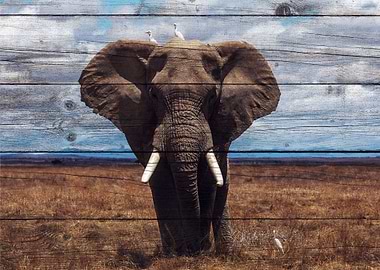 Elephant Art
