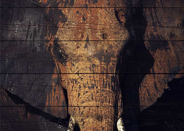Elephant Art