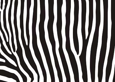 zebra pattern