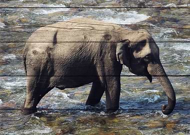 Elephant Art