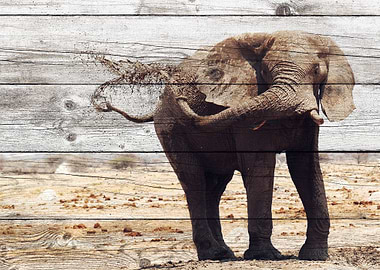 Elephant Art