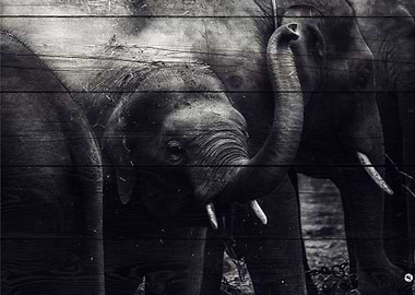 Elephant Art