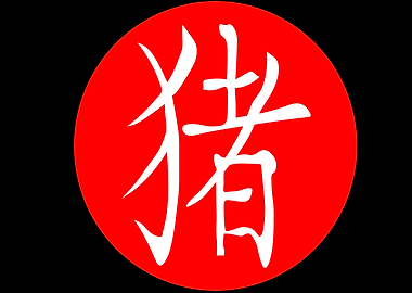 Pig Chinese Character