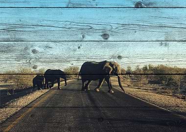 Elephant Art
