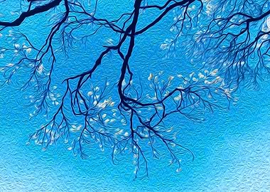 Branching Out to the Sky