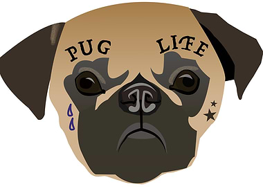 Pug Life